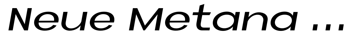 Neue Metana Medium Italic